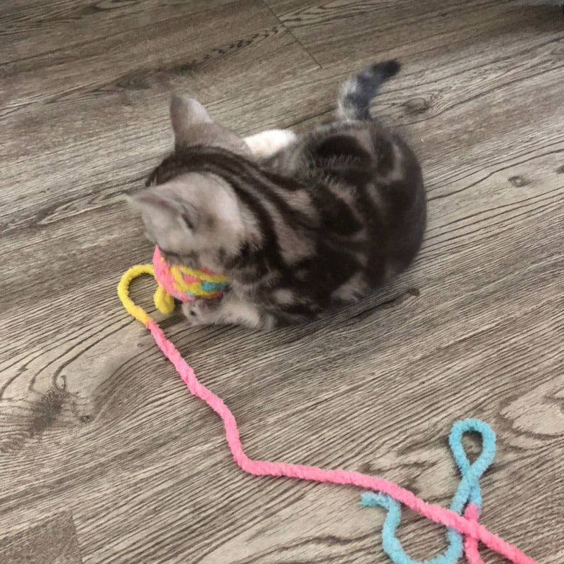 HKM-8787645 Colorful Yarn Ball Cat Toy with Sound and Fun Accessories