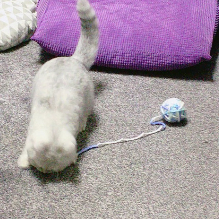 HKM-8787645 Colorful Yarn Ball Cat Toy with Sound and Fun Accessories