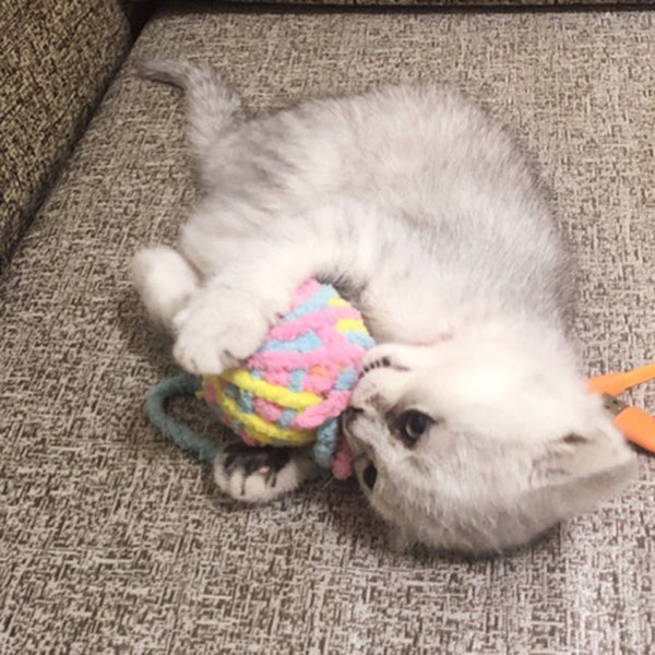 HKM-8787645 Colorful Yarn Ball Cat Toy with Sound and Fun Accessories