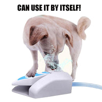 HKM-8788669 Automatic Water Feeder with Non-Slip Design and Easy-Clean Features for Pets, Blue, 25x22x8.7cm