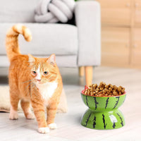 HKM-8790077 Elevated Ceramic Cat Bowl with Tilted Design for Comfortable Feeding and Anti-Vomiting for Cats and Small Dogs