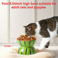HKM-8790077 Elevated Ceramic Cat Bowl with Tilted Design for Comfortable Feeding and Anti-Vomiting for Cats and Small Dogs