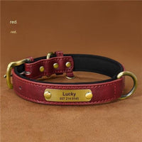 HKM-8794429 Engraved Ultra Fiber PU Dog Collar with Zinc Alloy Buckle - Grey, Brown, Green, Red Options