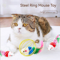 HKM-8796989 Colorful Plush Cat Toy Cage with Mouse for Nibbling Playtime
