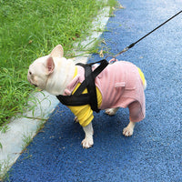 HKM-8816189 Cozy Fleece Bib Pants for Dogs in Misty Lotus Pink, Mocha Green, and Hibiscus Yellow
