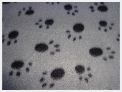 HKM-8816445 Double-Sided Pet Blanket with Paw Print Design, Soft and Durable for All Seasons