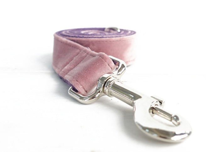 HKM-8817597 Adjustable Dog Leash & Collar Set for Small to Medium Breeds