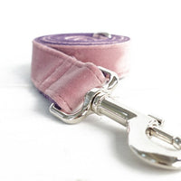 HKM-8817597 Adjustable Dog Leash & Collar Set for Small to Medium Breeds