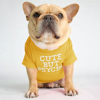 HKM-8817981 Fadou Turtleneck Crew Neck T-shirt - Japanese and Korean Style, Available in Sizes S-2XL