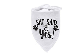 HKM-8822973 Geometric Triangle Scarf for Dogs and Cats - Four Seasons Polyester Bandana