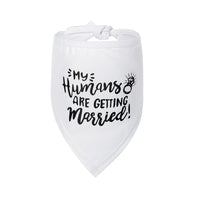 HKM-8822973 Geometric Triangle Scarf for Dogs and Cats - Four Seasons Polyester Bandana