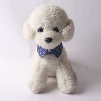 HKM-882387 Colorful Pet Collars with Metal Accessories in Kid-Friendly Designs