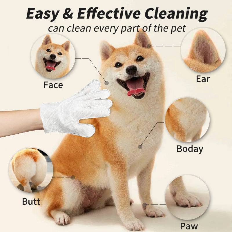 HKM-8832701 Pet Cleaning Essentials Set: Disposable Gloves, Wipes, and Foot Foam