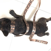 HKM-8836669 Brown Dog Collar with Leash Set for Small and Medium Breeds