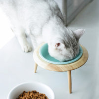 HKM-8837053 Large and Small Ceramic Cat and Dog Bowls with Bamboo Base, 800ml and 480ml, Non-Toxic Design