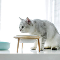 HKM-8837053 Large and Small Ceramic Cat and Dog Bowls with Bamboo Base, 800ml and 480ml, Non-Toxic Design