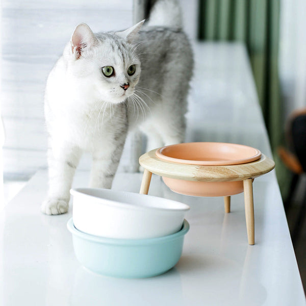 HKM-8837053 Large and Small Ceramic Cat and Dog Bowls with Bamboo Base, 800ml and 480ml, Non-Toxic Design