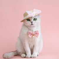 HKM-8844861 Pet Cat Lady Straw Hat with Pearl Bow in Multiple Colors