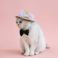 HKM-8844861 Pet Cat Lady Straw Hat with Pearl Bow in Multiple Colors