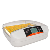 HKM-8846397 Smart Egg Incubator for Household Chicken Breeding - Adjustable Temperature Control, 80W Power, 110V/220V
