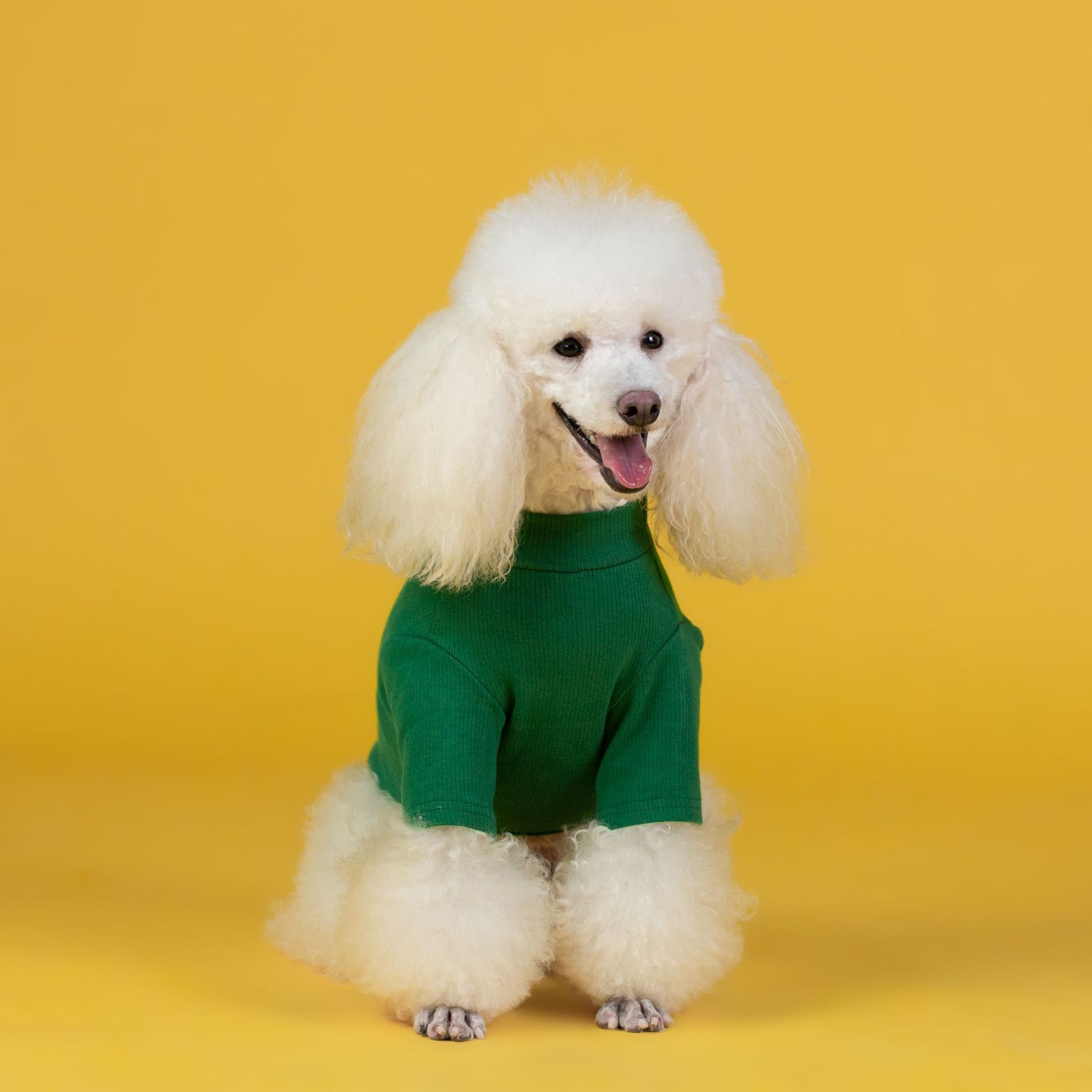 HKM-8847677 Cozy Cotton Puppy Sweater for Autumn and Winter – Available in Red and Green, Sizes XS-3XL