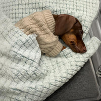 HKM-8848189 Cozy British Style Sausage Sweater for Pets in Greige – Sizes XS to XL Available