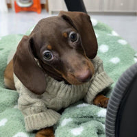 HKM-8848189 Cozy British Style Sausage Sweater for Pets in Greige – Sizes XS to XL Available
