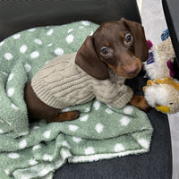 HKM-8848189 Cozy British Style Sausage Sweater for Pets in Greige – Sizes XS to XL Available
