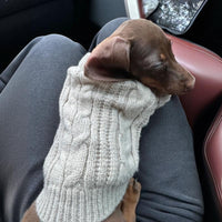 HKM-8848189 Cozy British Style Sausage Sweater for Pets in Greige – Sizes XS to XL Available