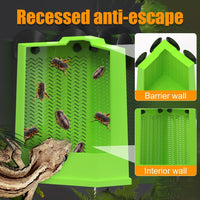 HKM-8848573 Corner Reptile Feeder Box with Suction Cups for Climbing Pets - Ideal for Bearded Dragons, Lizards, and Geckos