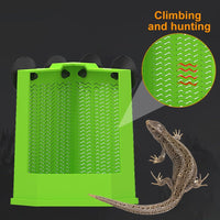 HKM-8848573 Corner Reptile Feeder Box with Suction Cups for Climbing Pets - Ideal for Bearded Dragons, Lizards, and Geckos