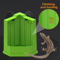 HKM-8848573 Corner Reptile Feeder Box with Suction Cups for Climbing Pets - Ideal for Bearded Dragons, Lizards, and Geckos