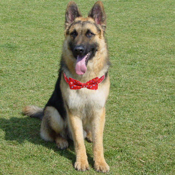 HKM-8850365 Large Christmas Dog Collar with Bow in Multiple Sizes - Polyester Material
