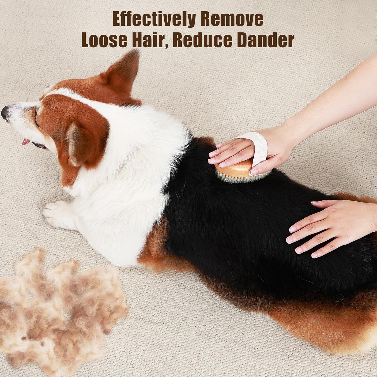 HKM-8853949 Soft Boar Bristle Grooming Brush for Short-Haired Pets with Ergonomic Design and Reduced Shedding