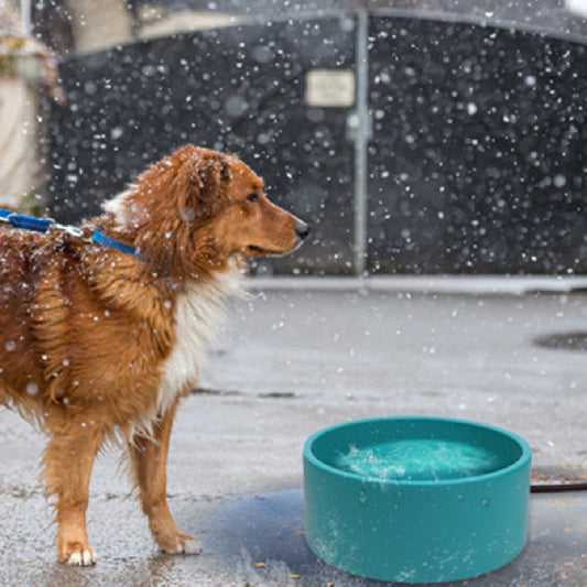 HKM-8854333 Pet Heating Bowl - Non-Slip Anti-Fall Design, 3L Capacity, Available in Multiple Colors