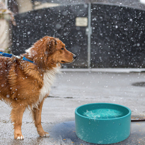 HKM-8854333 Pet Heating Bowl - Non-Slip Anti-Fall Design, 3L Capacity, Available in Multiple Colors