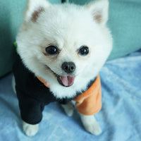 HKM-8856509 Casual Halloween Pet Jacket in Devil Pumpkin Design - Available in Multiple Sizes