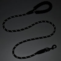 HKM-8857917 Reflective Nylon Dog Leash in Multi-Color for Medium and Large Breeds