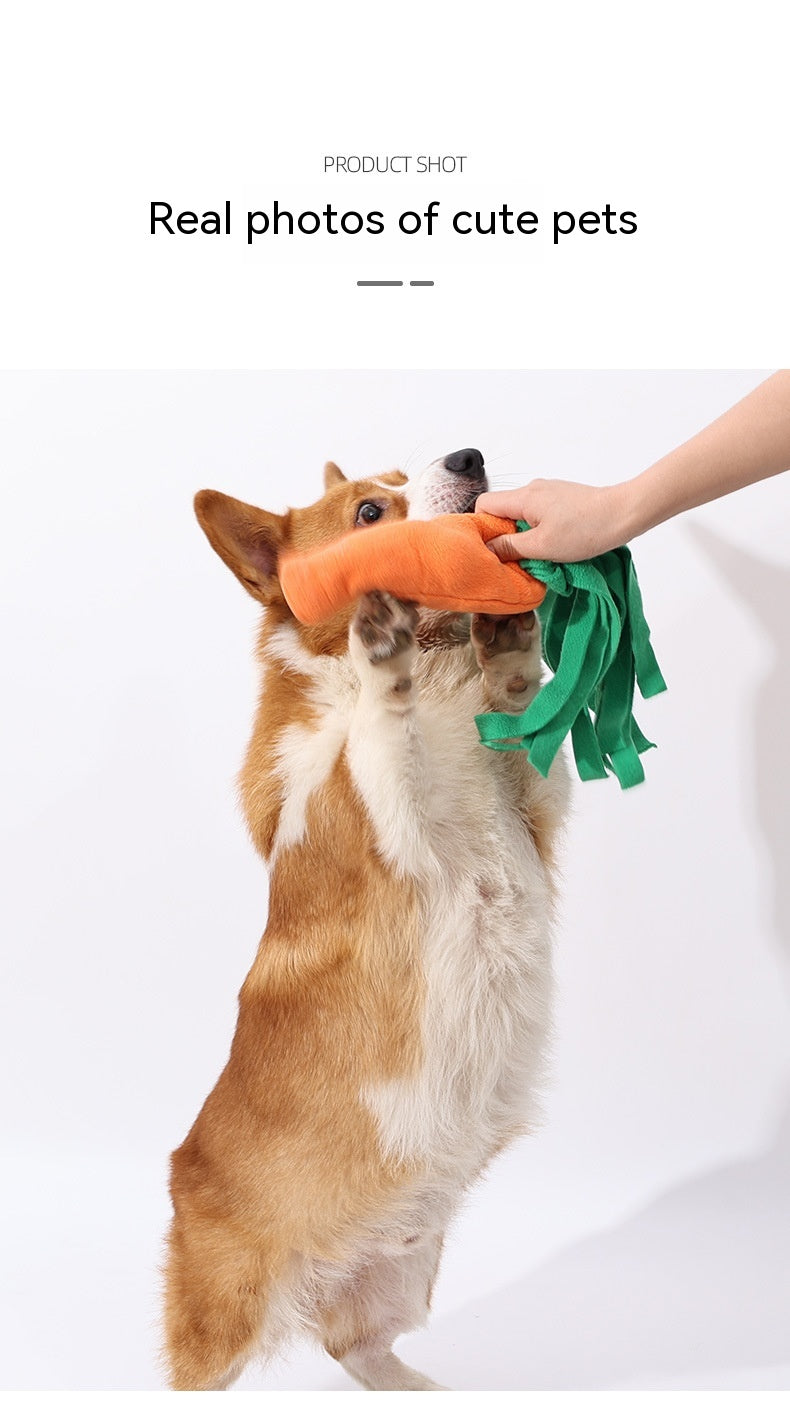 HKM-8858941 Durable Orange Polyester Dog Toy Vegetable Carrot - Fun Playtime Accessory