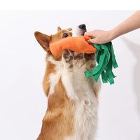 HKM-8858941 Durable Orange Polyester Dog Toy Vegetable Carrot - Fun Playtime Accessory