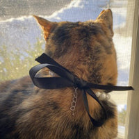 HKM-8861373 Elegant Pearl and Rhinestone Necklace for Small Dogs and Cats - Adjustable Bling Collar with Ribbon Bow