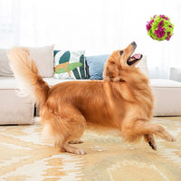 HKM-8872893 Plush Interactive Dog Teething Ball for Chewing and Cleaning Teeth, 15cm Diameter