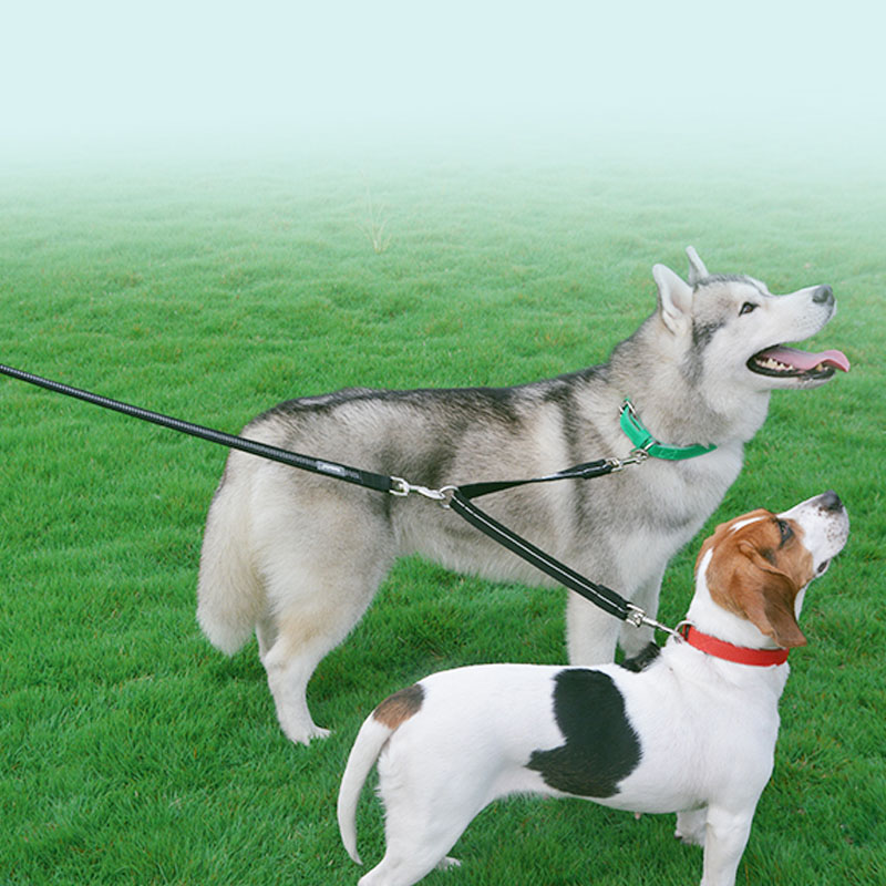 HKM-8875197 Reflective Double-Headed Nylon Dog Leash - Scalable, Durable & Comfortable for Small to Medium Dogs