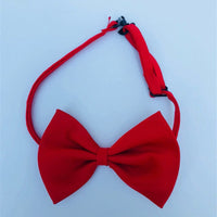 HKM-8877629 Colorful Cat Flower Bow Tie Hairpin - Polyester Material, Suitable for All Pets