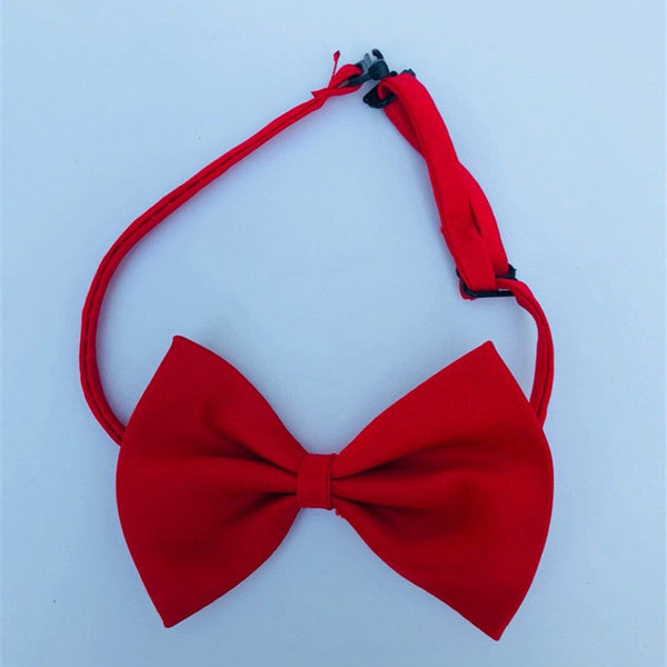 HKM-8877629 Colorful Cat Flower Bow Tie Hairpin - Polyester Material, Suitable for All Pets