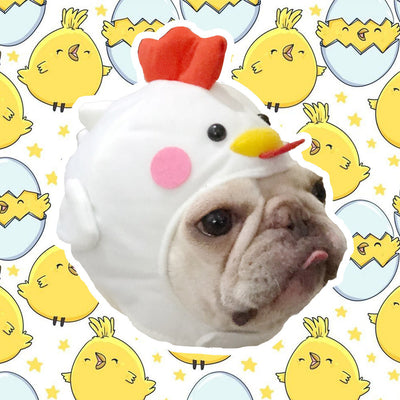 HKM-8880189 Cute Dog Hat for Stylish Pet Headwear - White Polyester, Sizes Large & Medium