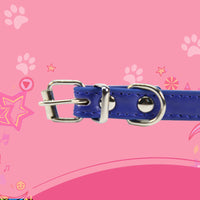 HKM-8884925 Durable PU Large Dog Leash and Collar Set with Wire Buckle for Dogs and Cats
