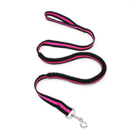 HKM-8885949 Elastic Pet Hand Holding Leash with Chest Strap, Available in Blue, Red, Green, and Rose, Nylon Material, 2.5*120 cm, Stretchable to 150 cm