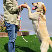 HKM-8890685 Customizable Dog Collar with Matching Leash and Bag - All Cotton Fabric, Multiple Sizes Available