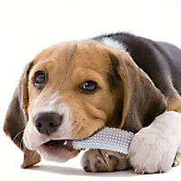 HKM-8891709 Interactive Bite-Resistant Dog Toy for Training and Boredom Relief